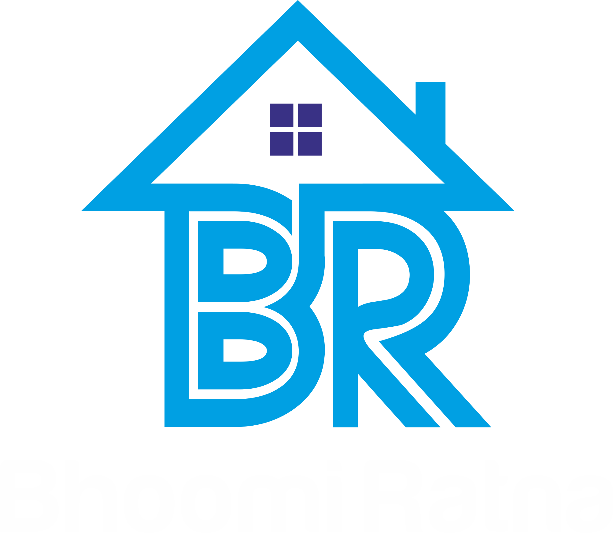 logo is-Bhoomi Ratna